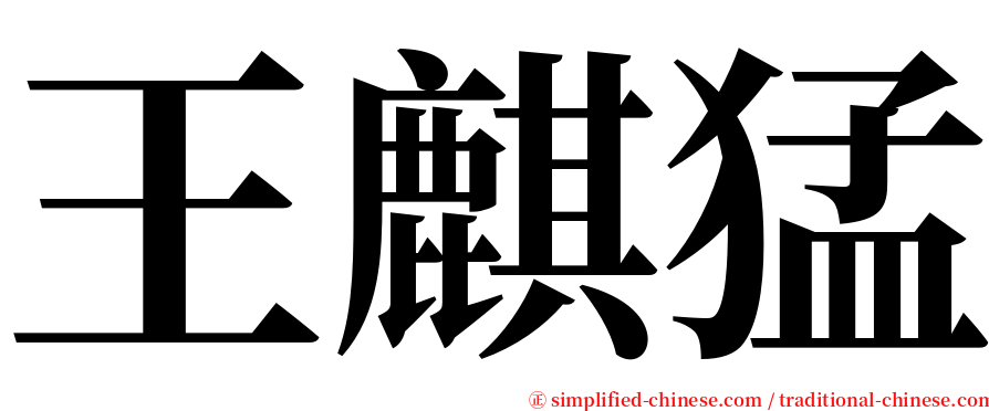 王麒猛 serif font