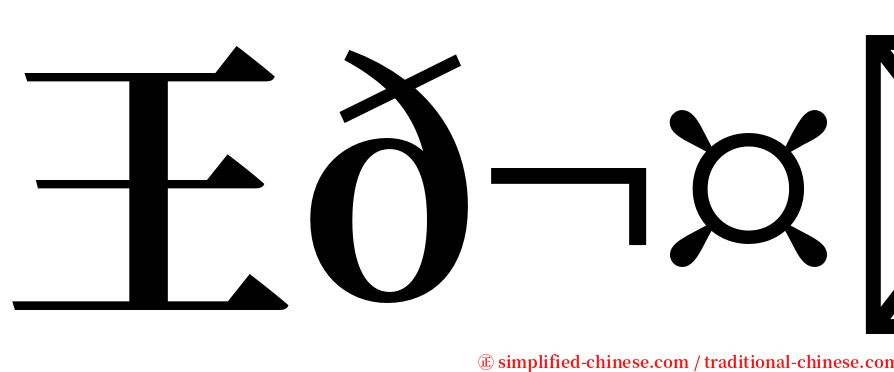 王𬤝茹 serif font