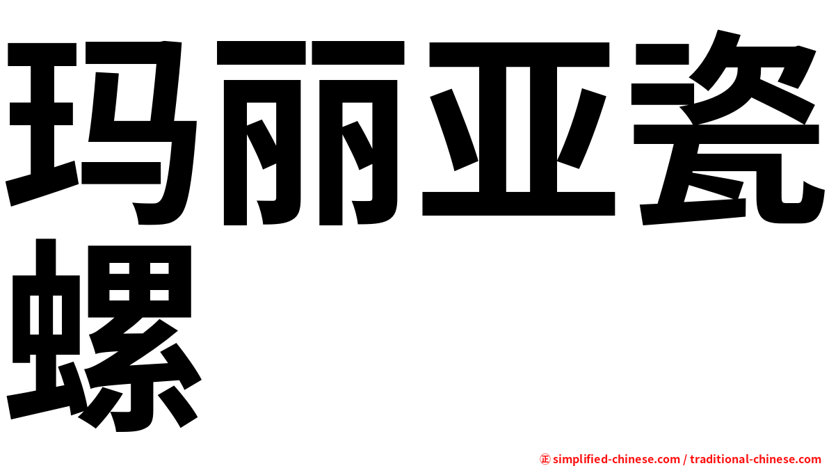 玛丽亚瓷螺