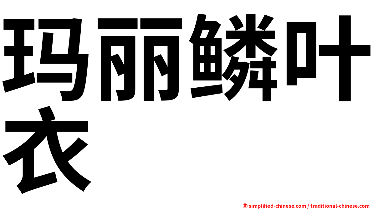 玛丽鳞叶衣