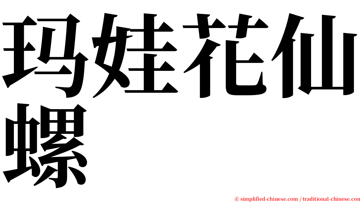 玛娃花仙螺 serif font