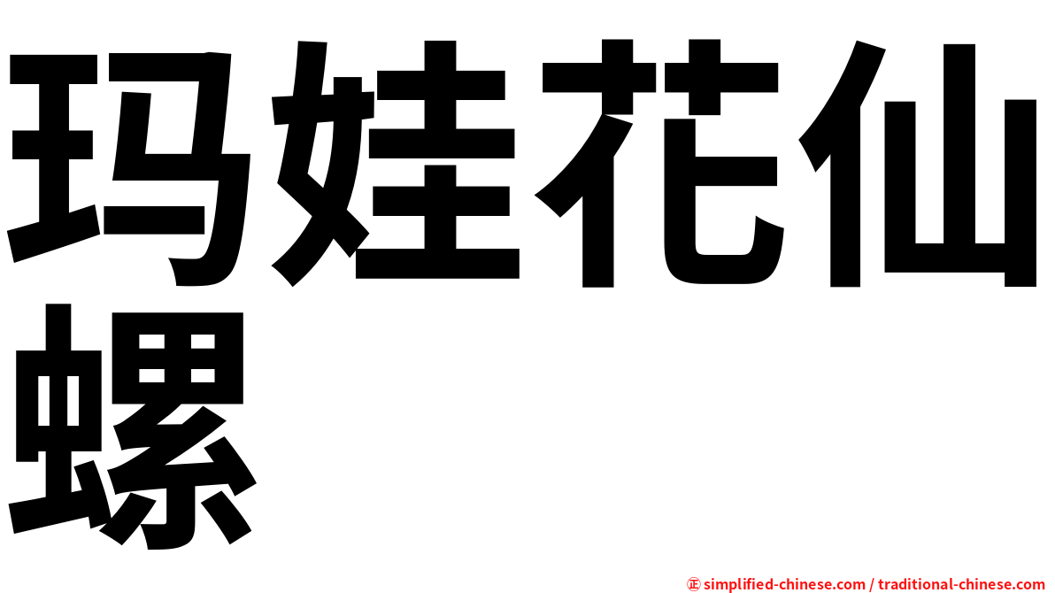 玛娃花仙螺