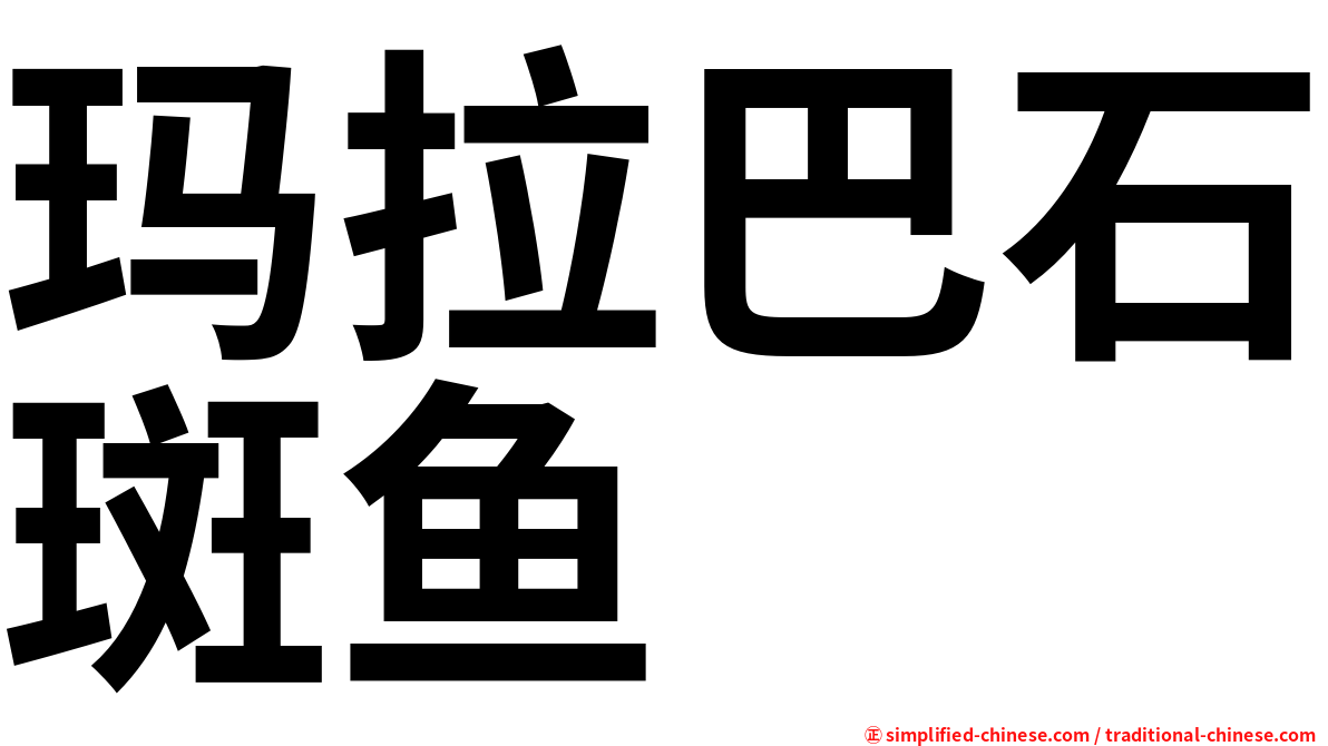 玛拉巴石斑鱼