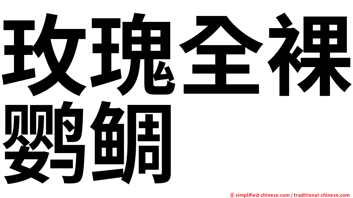 玫瑰全裸鹦鲷
