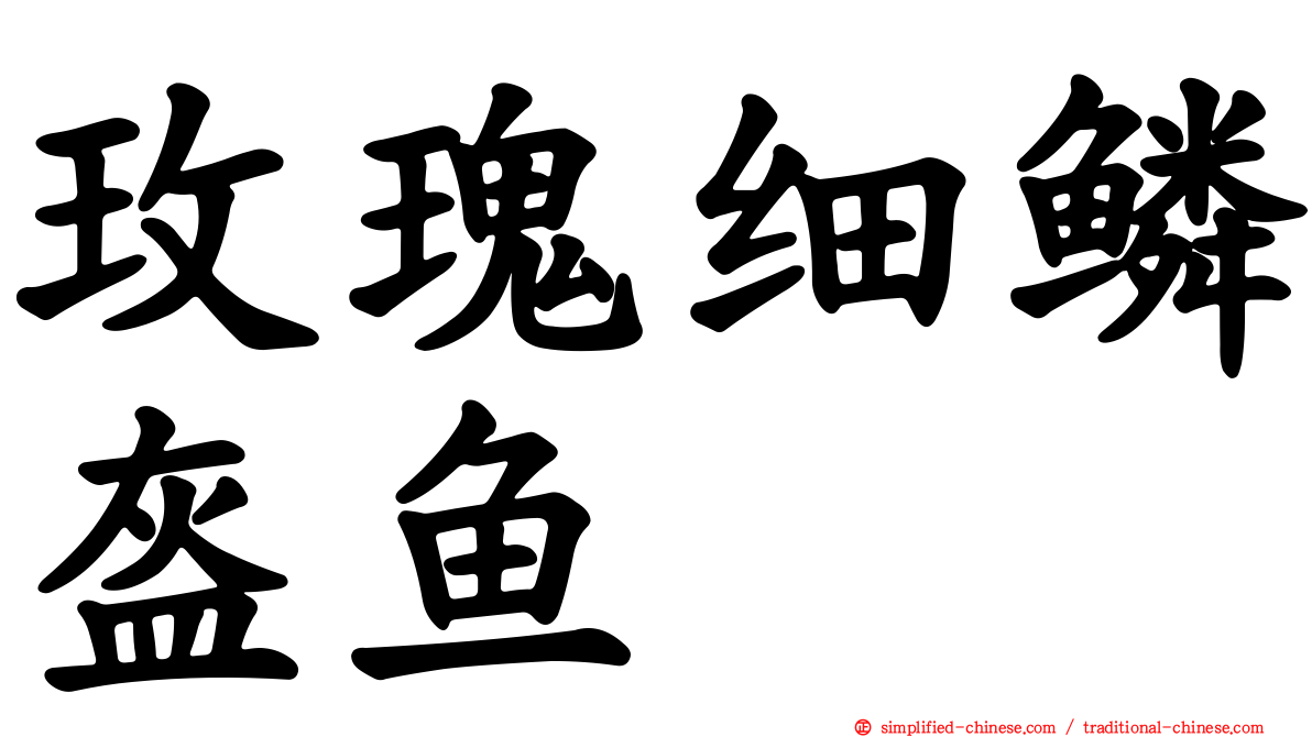 玫瑰细鳞盔鱼