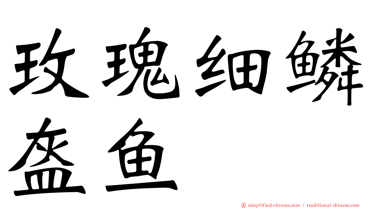 玫瑰细鳞盔鱼
