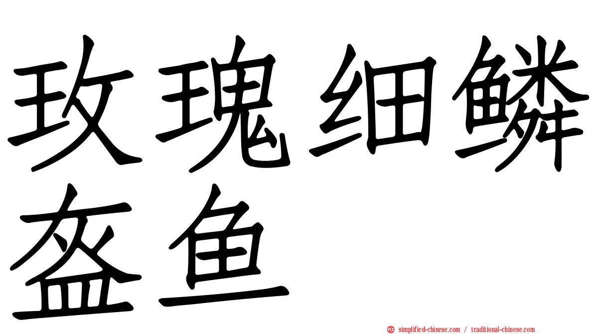 玫瑰细鳞盔鱼