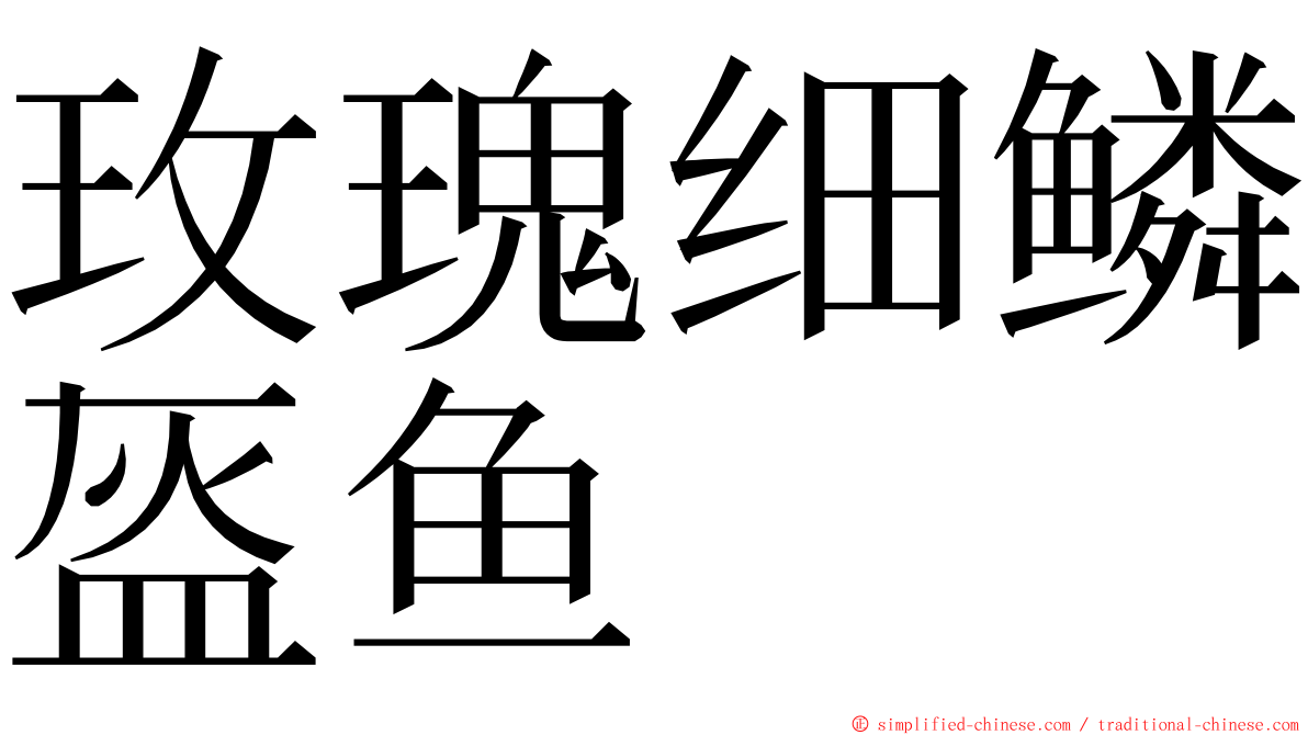 玫瑰细鳞盔鱼 ming font