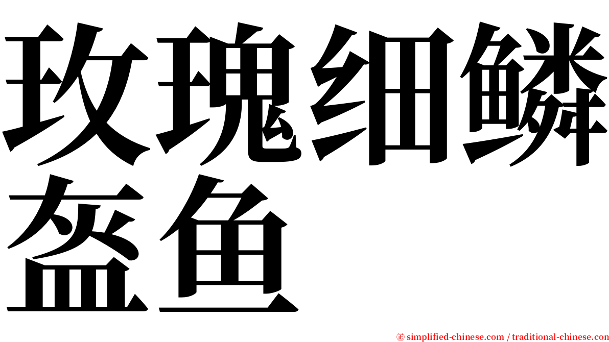 玫瑰细鳞盔鱼 serif font