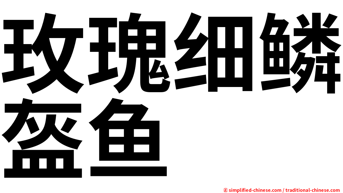玫瑰细鳞盔鱼