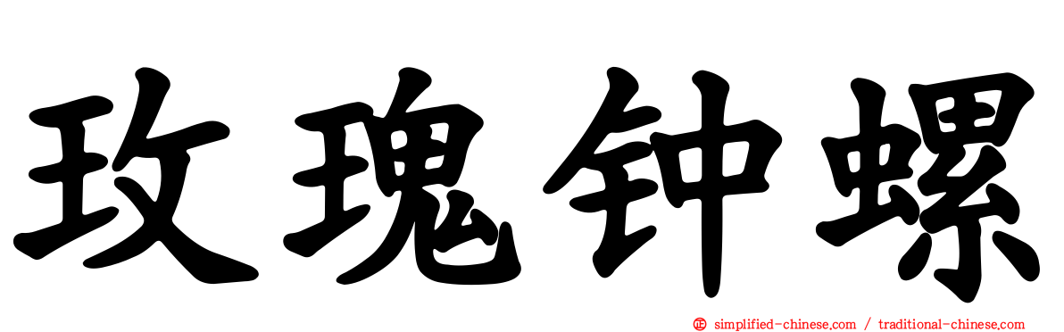 玫瑰钟螺