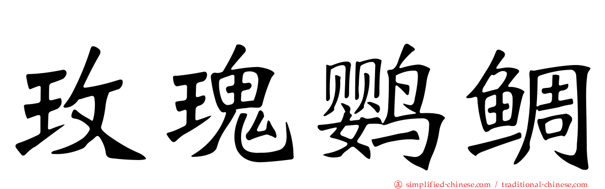 玫瑰鹦鲷