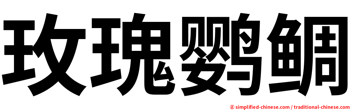 玫瑰鹦鲷