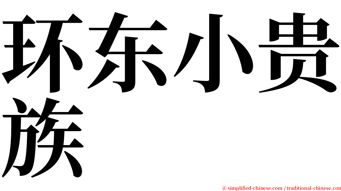 环东小贵族 serif font
