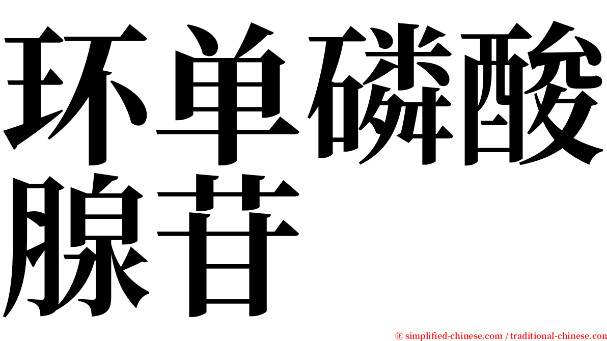 环单磷酸腺苷 serif font