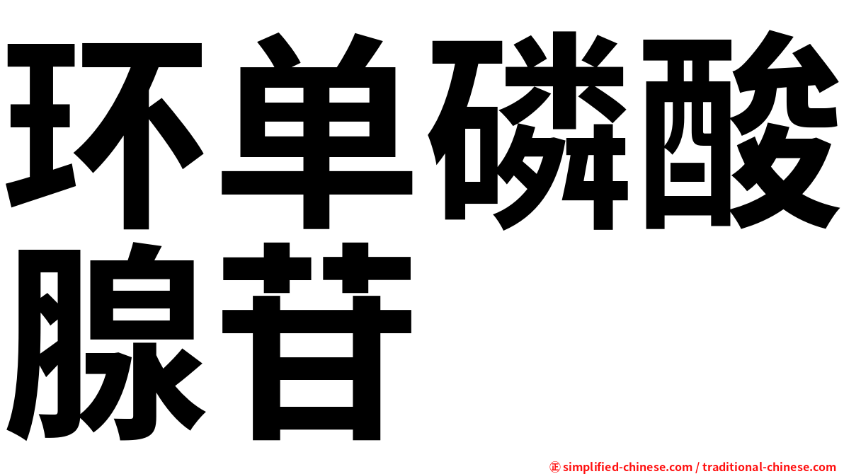 环单磷酸腺苷
