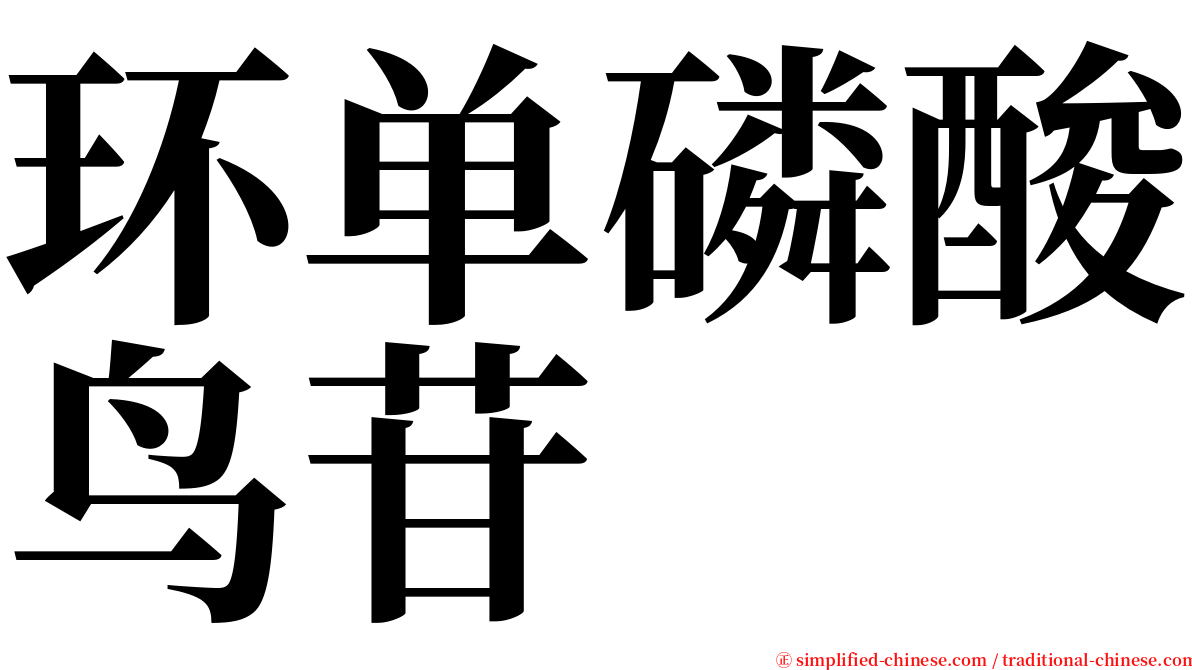 环单磷酸鸟苷 serif font