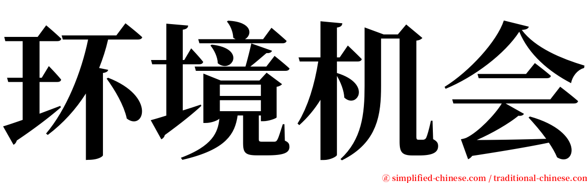 环境机会 serif font