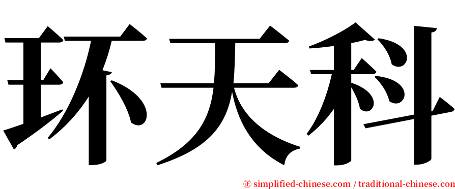 环天科 serif font