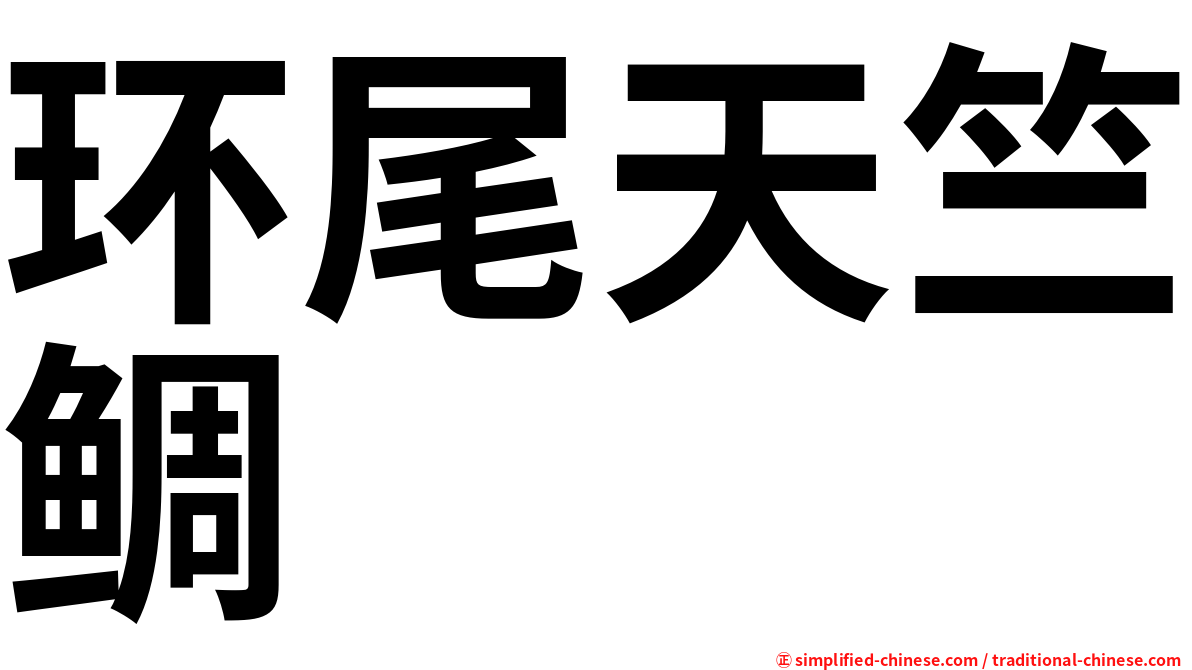 环尾天竺鲷