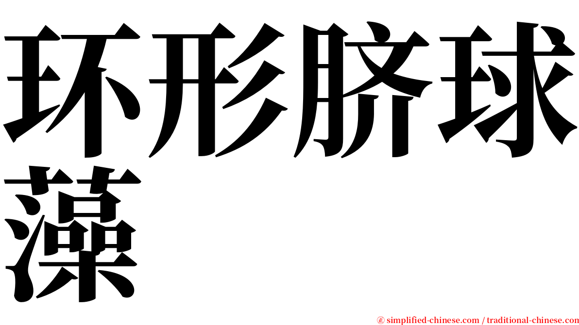环形脐球藻 serif font