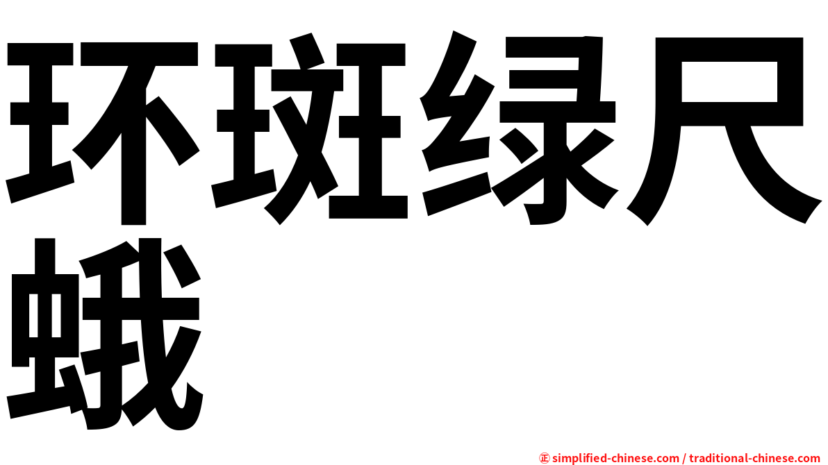 环斑绿尺蛾