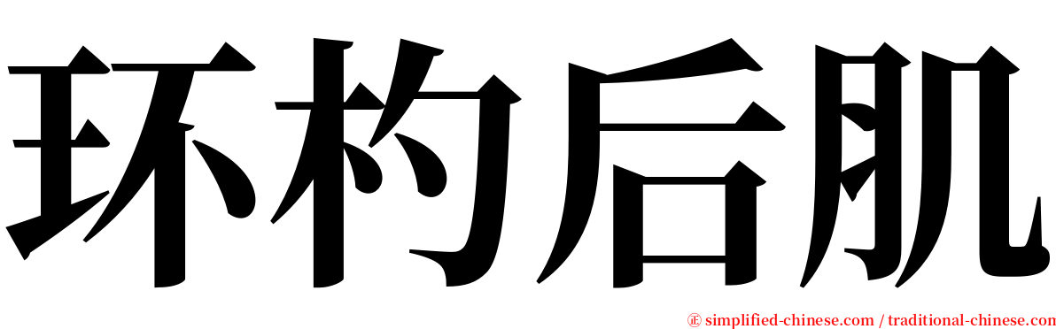 环杓后肌 serif font