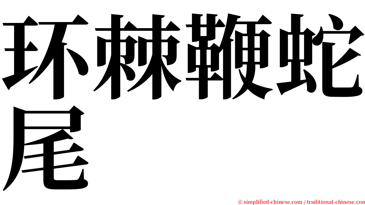 环棘鞭蛇尾 serif font