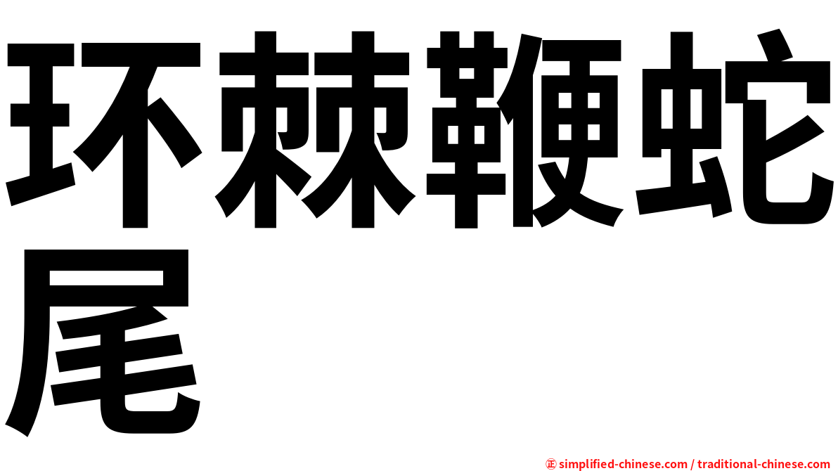 环棘鞭蛇尾