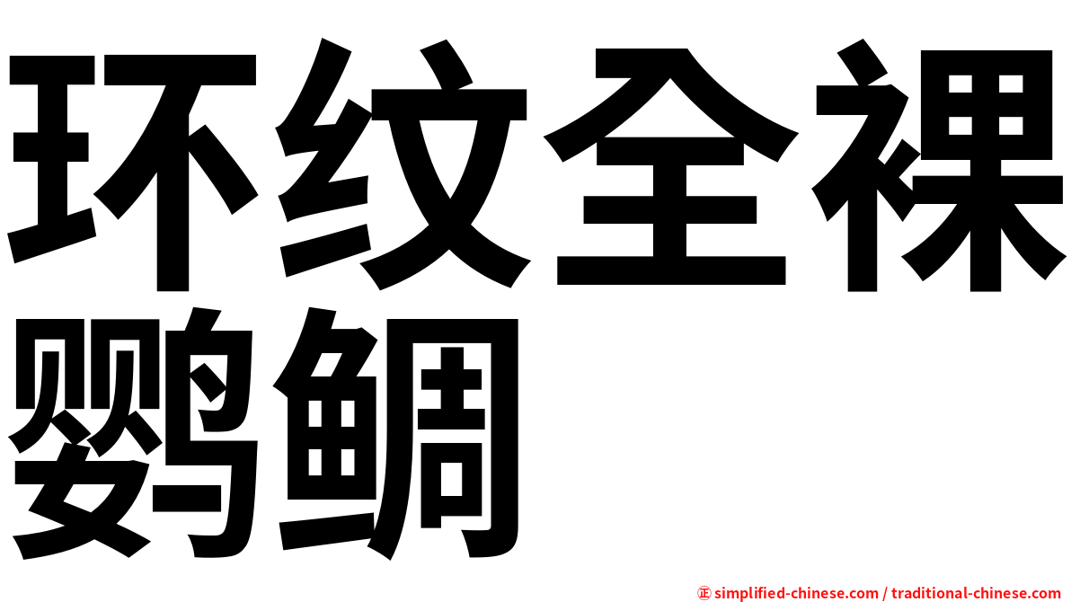 环纹全裸鹦鲷