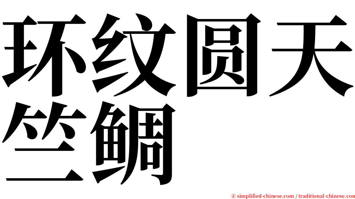 环纹圆天竺鲷 serif font