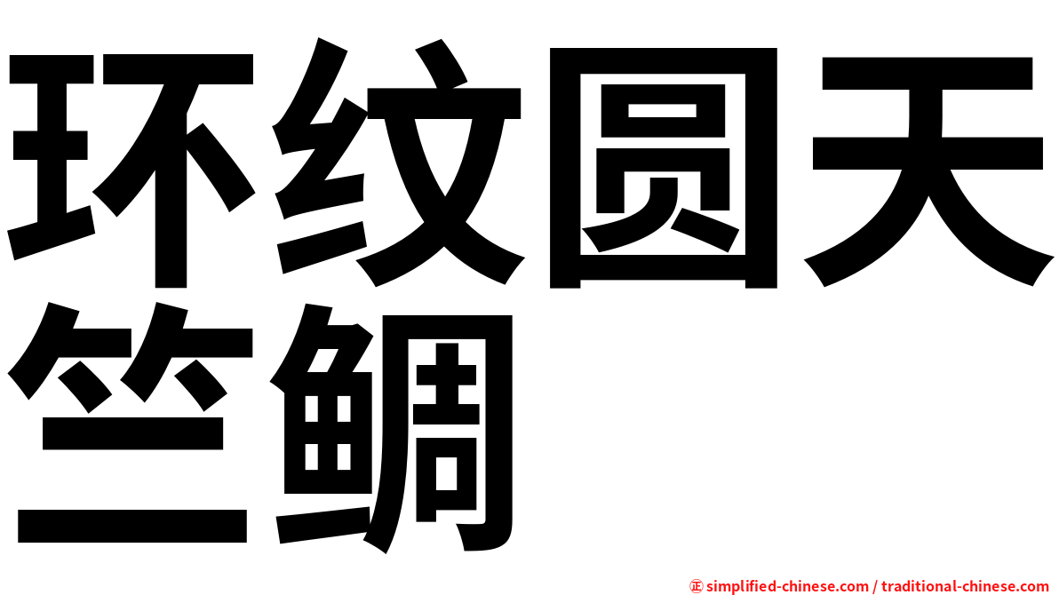 环纹圆天竺鲷