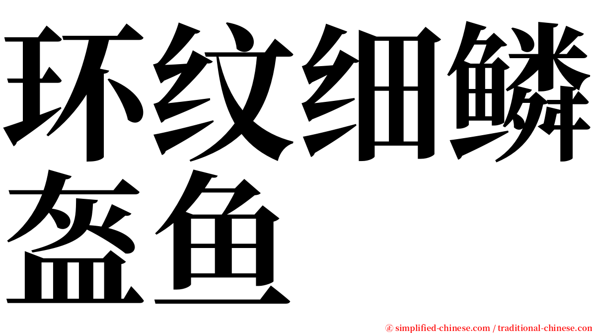 环纹细鳞盔鱼 serif font