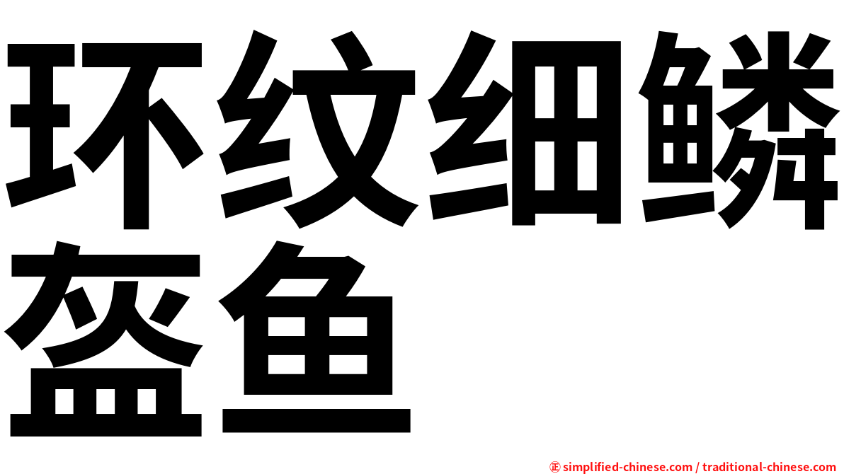 环纹细鳞盔鱼