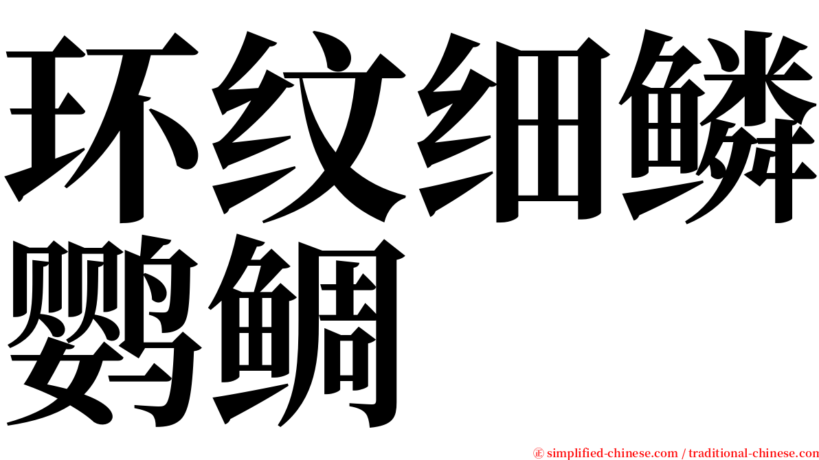 环纹细鳞鹦鲷 serif font
