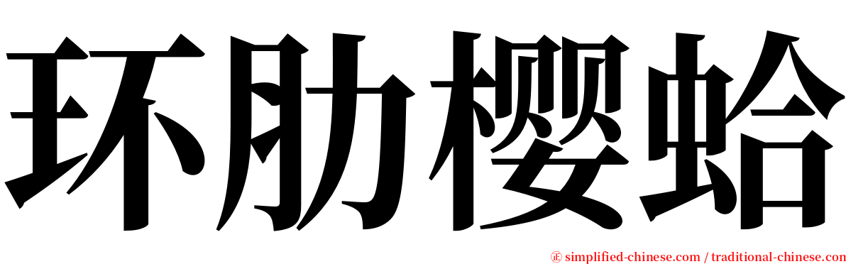 环肋樱蛤 serif font
