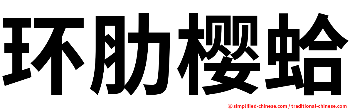 环肋樱蛤