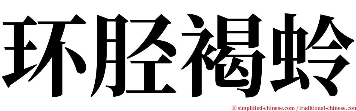 环胫褐蛉 serif font