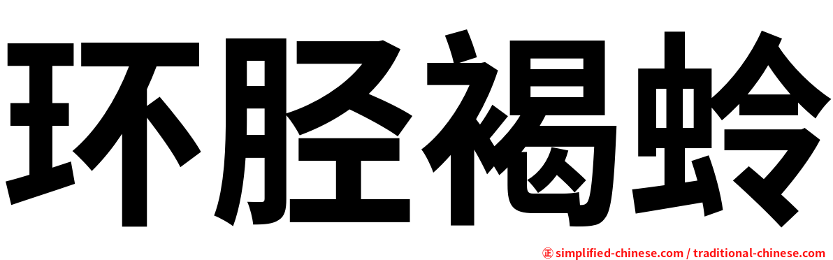 环胫褐蛉