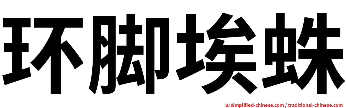 环脚埃蛛