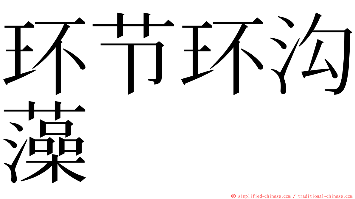环节环沟藻 ming font