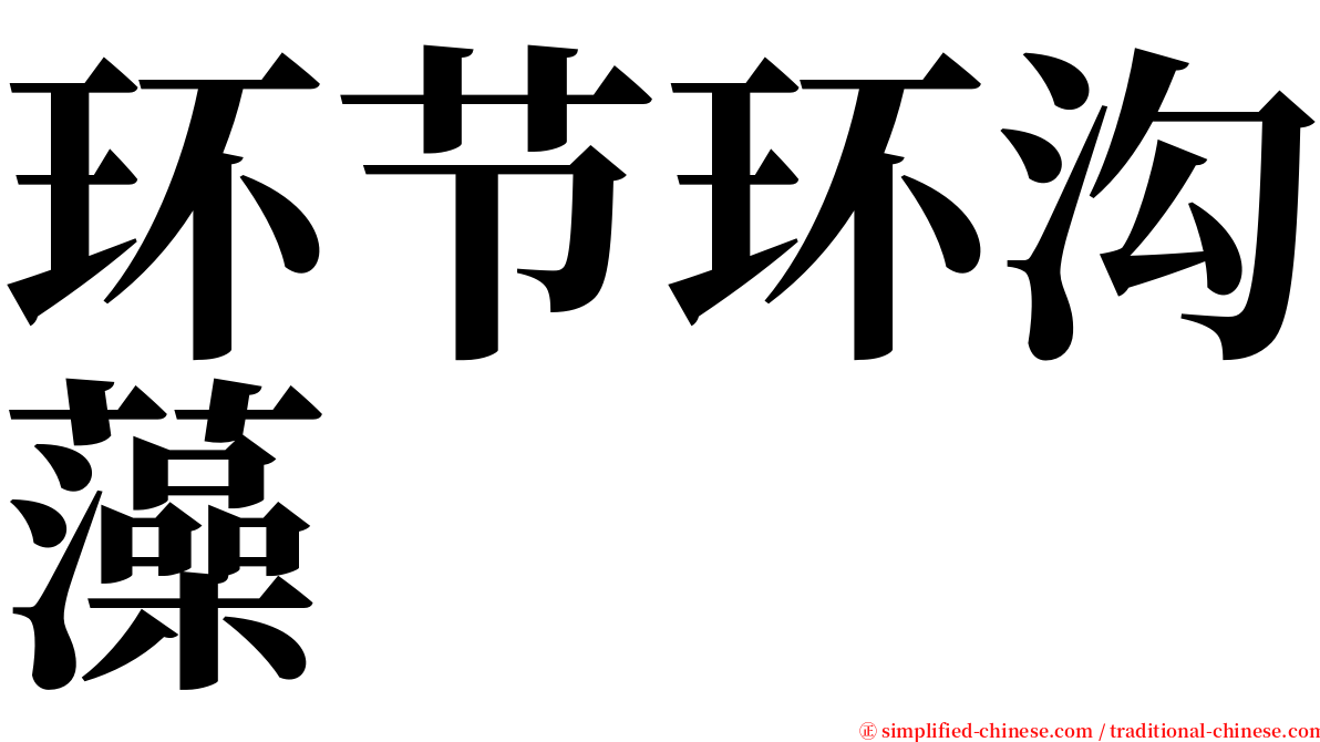 环节环沟藻 serif font