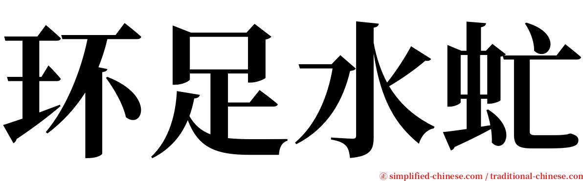 环足水虻 serif font