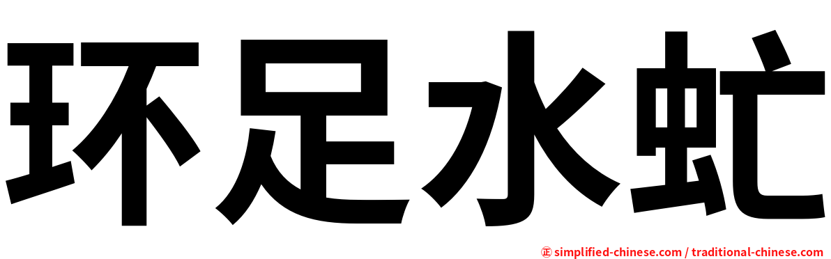 环足水虻