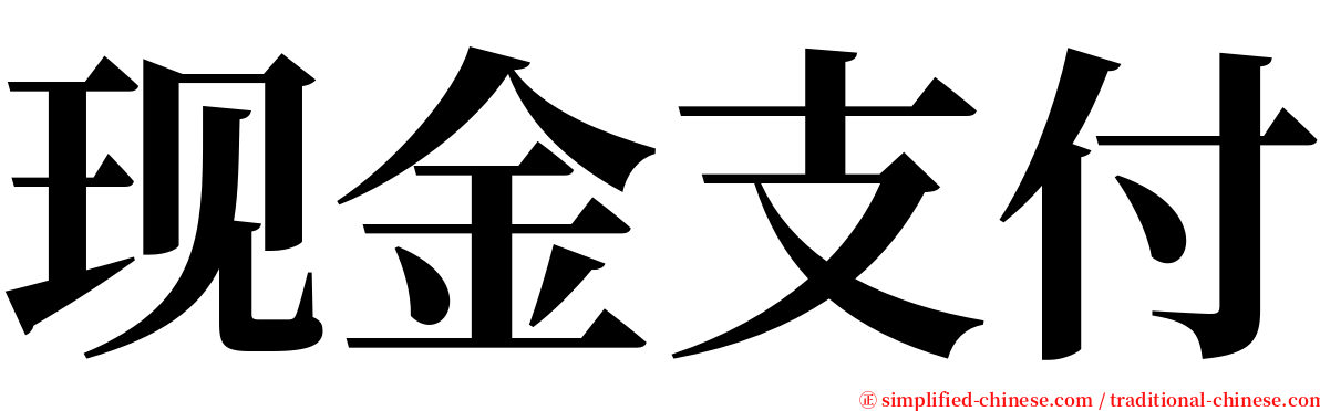 现金支付 serif font