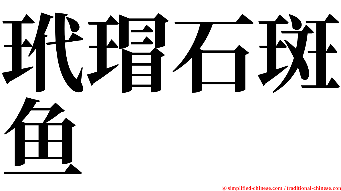 玳瑁石斑鱼 serif font