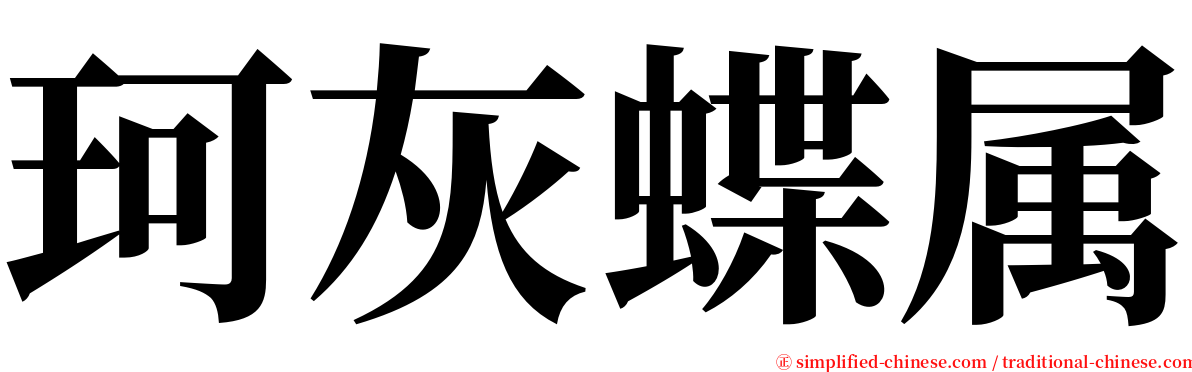 珂灰蝶属 serif font