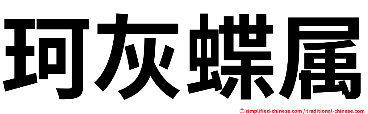 珂灰蝶属