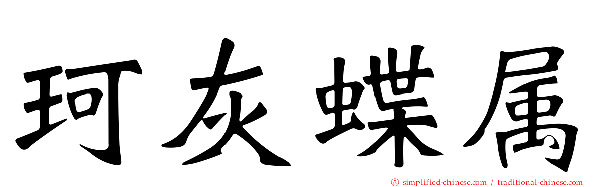 珂灰蝶属