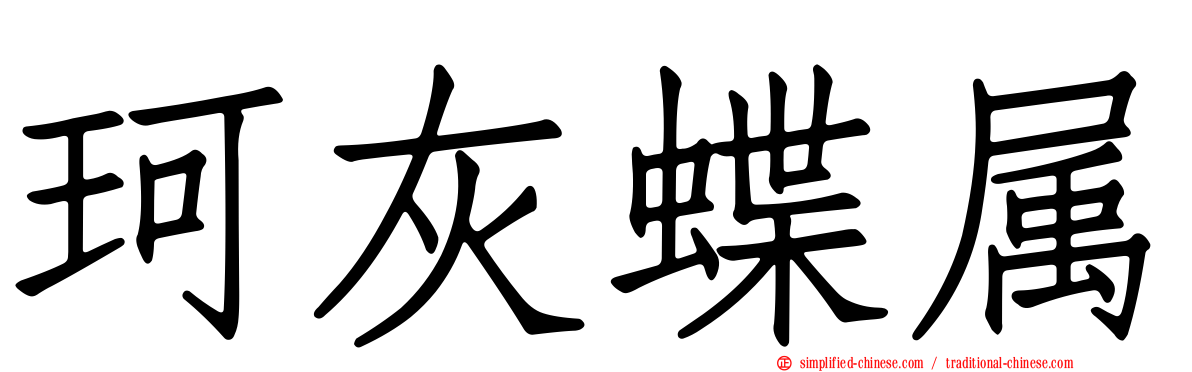 珂灰蝶属